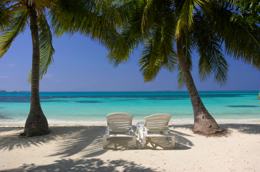 Making Cash using the Internet